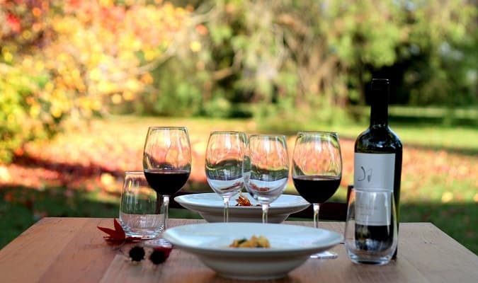 10 Best Wineries to Visit in Uruguay